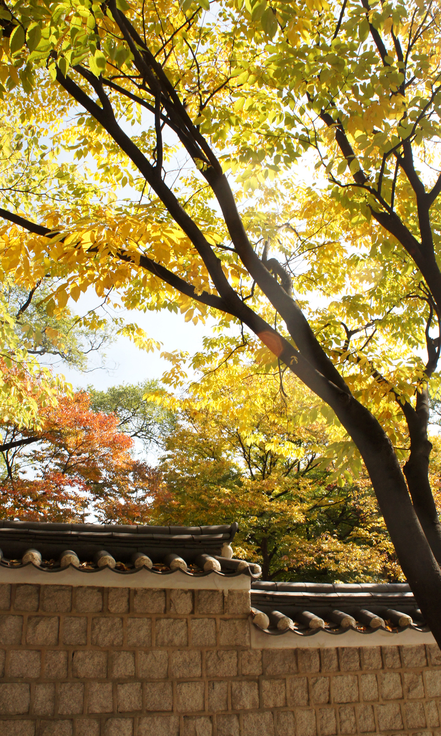 2014-seoul-korea-changdeokgung-palace-secret-garden-biwon-01