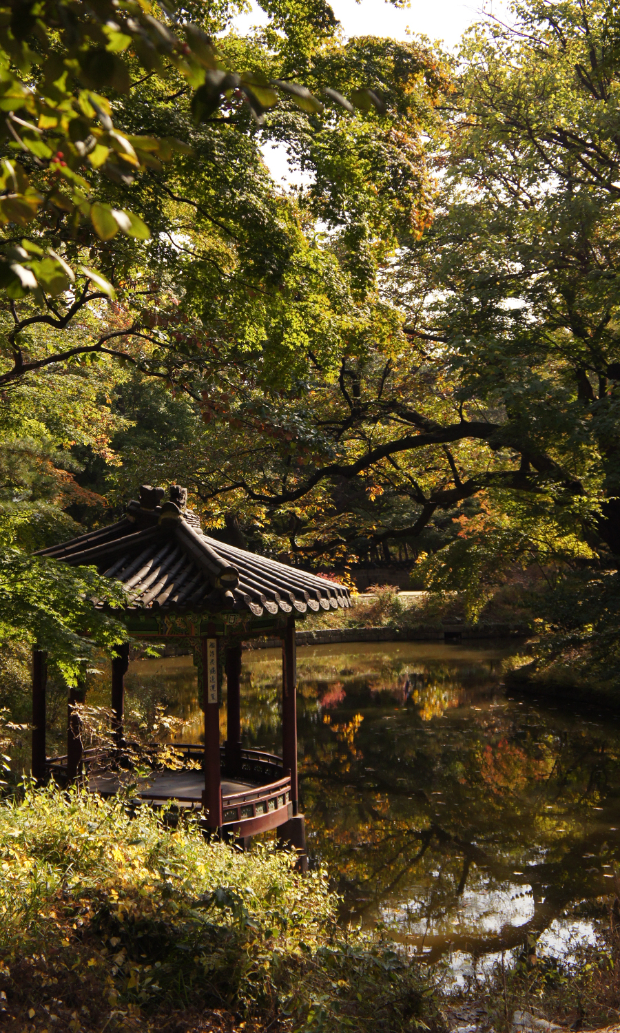 2014-seoul-korea-changdeokgung-palace-secret-garden-biwon-09