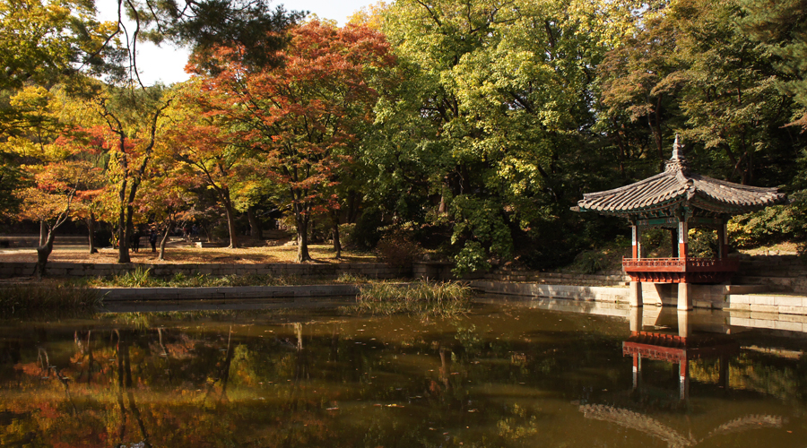 2014-seoul-korea-changdeokgung-palace-secret-garden-biwon-13