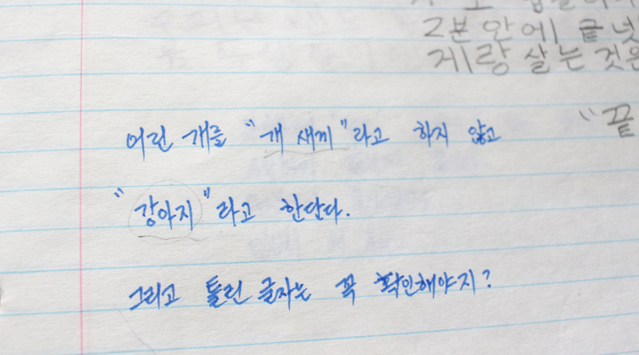 learning-korean-journal-4